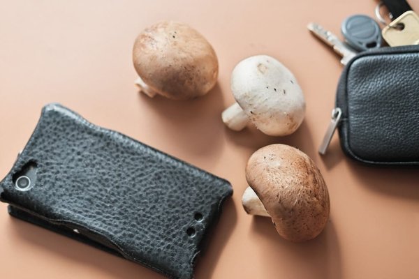 Comment les entreprises de mode peuvent-elles utiliser des fibres textiles alternatives pour réduire leur impact environnemental ?